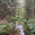 Podlasie Rzeka 2