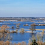 Podlasie Rozlewiska