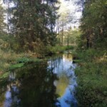 Podlasie Rzeka