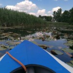 Podlasie Spływ